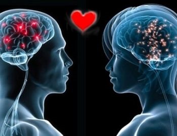 cualidades que enamoran al cerebro