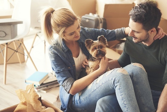 juzgar a tu pareja con respecto a su mascota